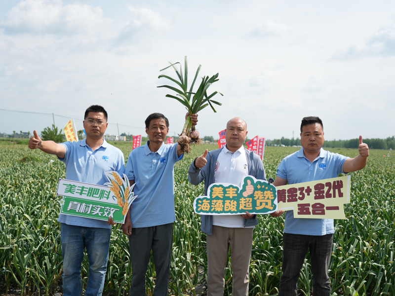 夏攻行动：四川安博电竞护航夏粮丰产丰收