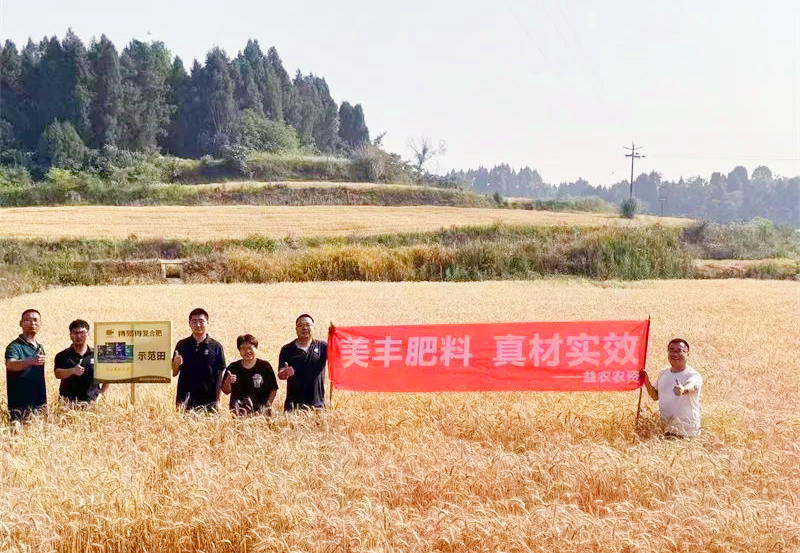 夏攻行动：安博电竞方案助力小麦增收