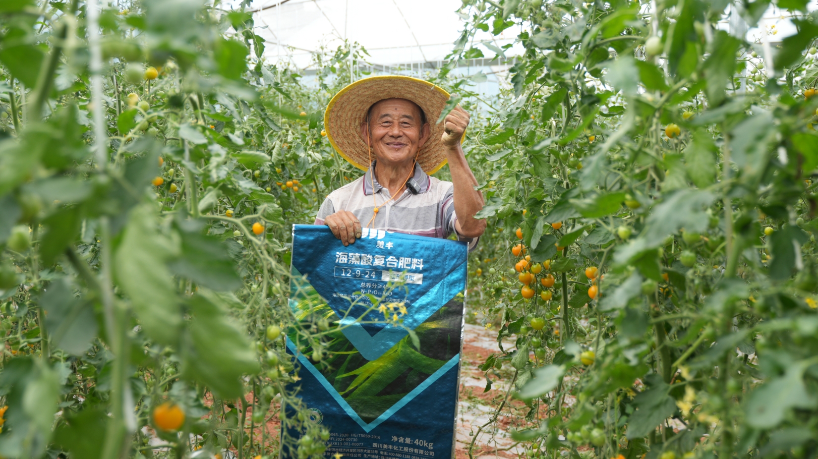 夏攻行动：“三夏”时节精准发力助丰收