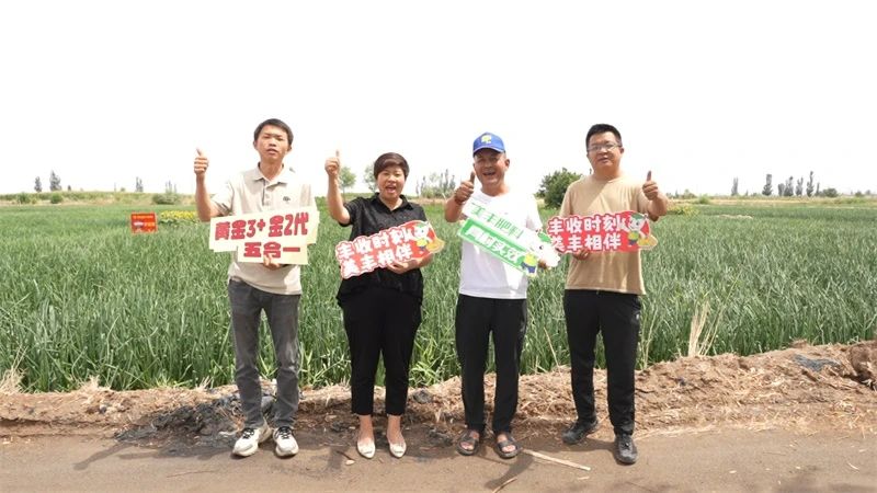 洋葱界“硬核选手”的秘密……